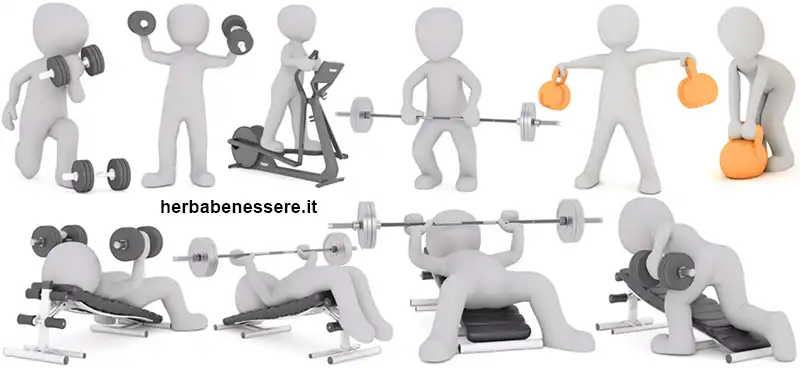 massa muscolare allenamento esercizi attività fisica e sana alimentazione